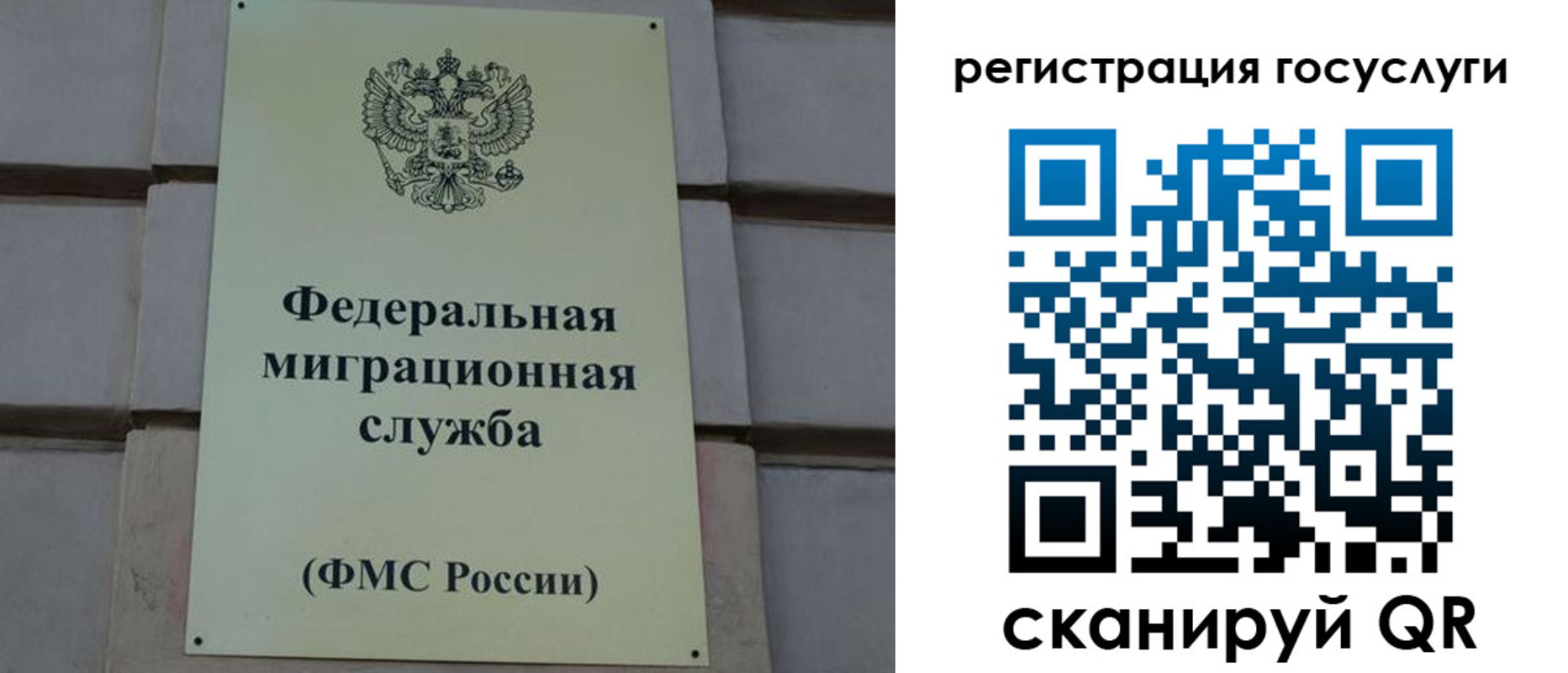 временная регистрация поиск в Саратовской области